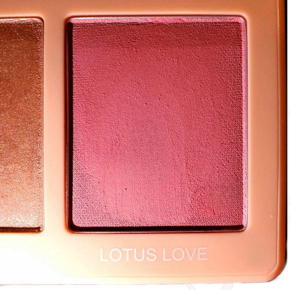 Love Sprung Vol II by Artist Couture - Picture 12 of 14